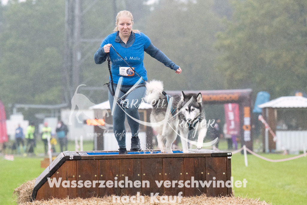 0937-_ZZ94257-Bearbeitet | kk-dogfotos