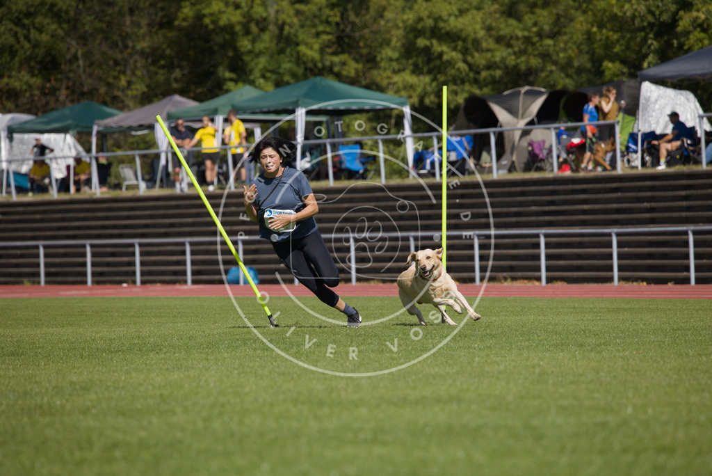 0L8A7088 | Hundefotografie, Tierfotograf, Pfotenfotografie, Fotoshooting Hund, Hunde Portrait, Hundesport, Hundeportraits, Heideshooting, Hunde, Sportfotograf, Hundefotograf, Turnierhundsport, THS,  - Realisiert mit Pictrs.com