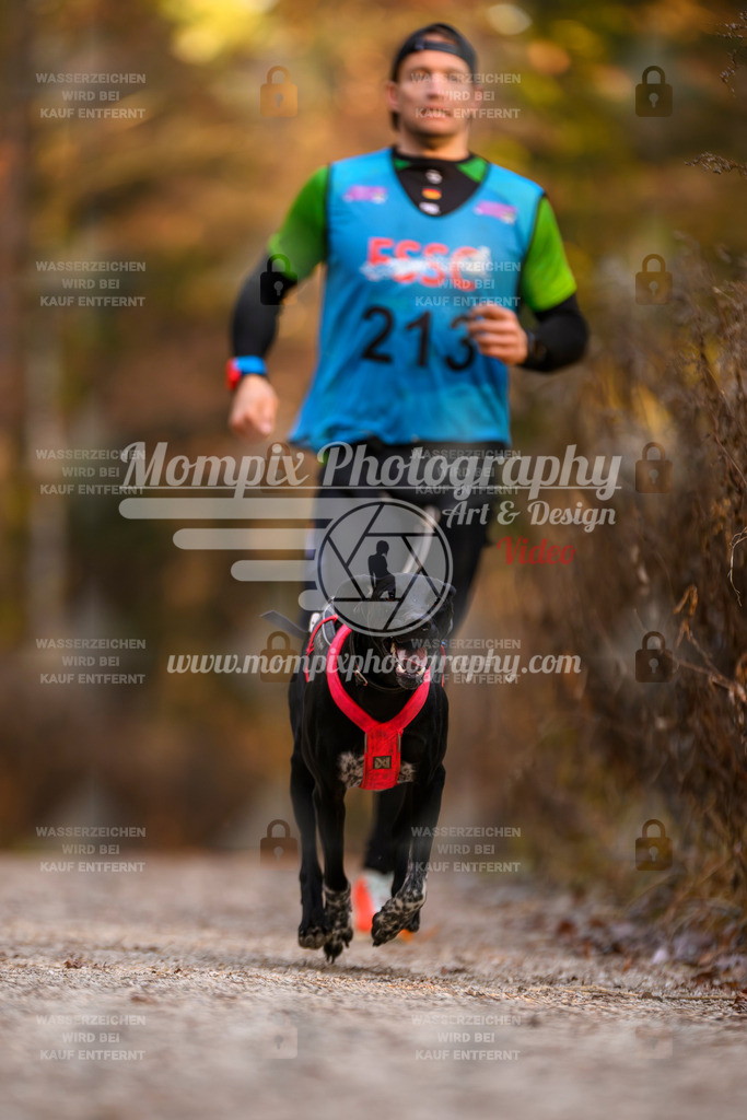 MompixPhotography_DM_AKDM_SO_2025_-34 | PayLife