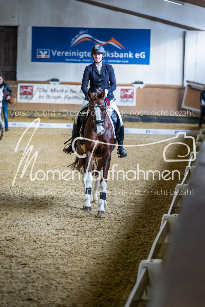 Sth-WBO25-DrR-171 | MomenTaufnahmen Pferdesportfotos