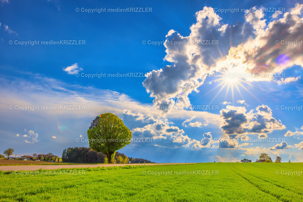 _J3A7642 | medienkrizzler - Realisiert mit Pictrs.com