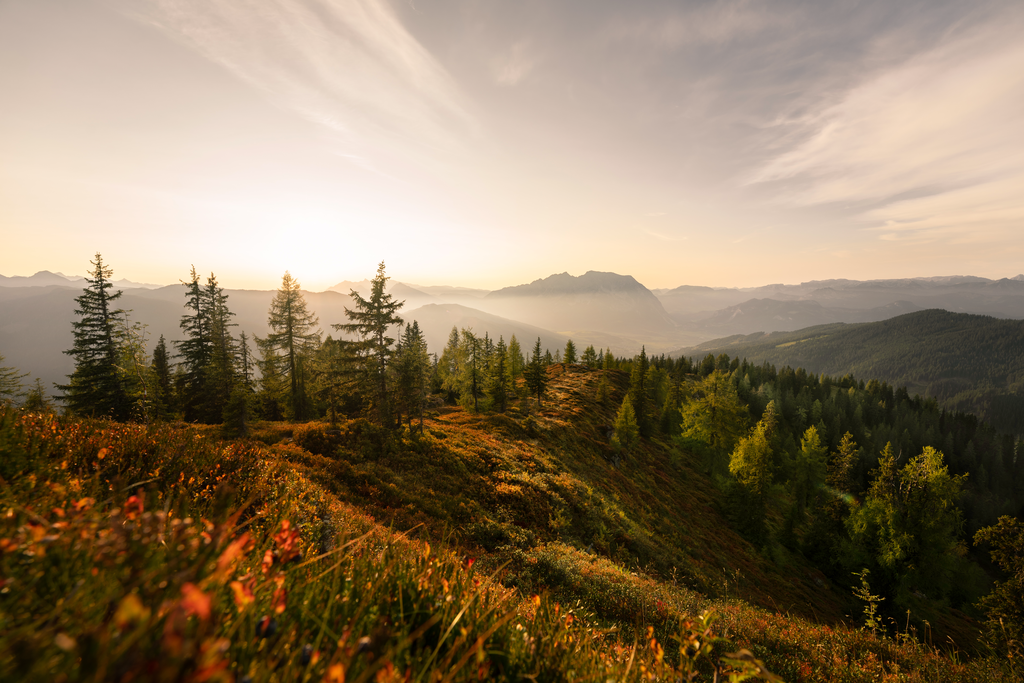 Goldener Herbst | Blick vom Mölbegg auf den Grimming - Realisiert mit Pictrs.com