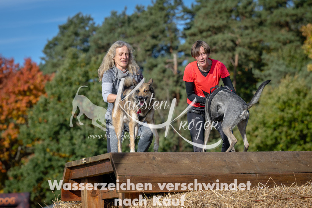 1030_ZZ90744 | kk-dogfotos