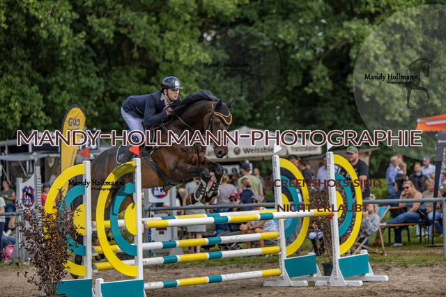 17.8 SPR L (593 von 875) | mandyhollmannphotographie
