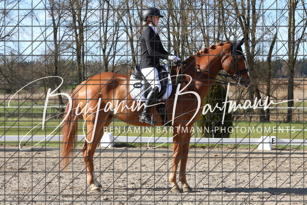 AZ2A5259 | Benjamin Bartmann Photomoments