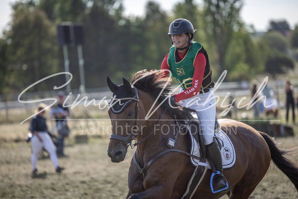 20250907-_3LI3980 | Tierfotografie Pferde, Hunde, Katzen, Haustiere.
Turnierfotografie Reitturniere, Reiten, Springreiten, Dressur in Hanau, dem Main-Kinzig-Kreis und dem Rhein-Main- Gebiet um Frankfurt
