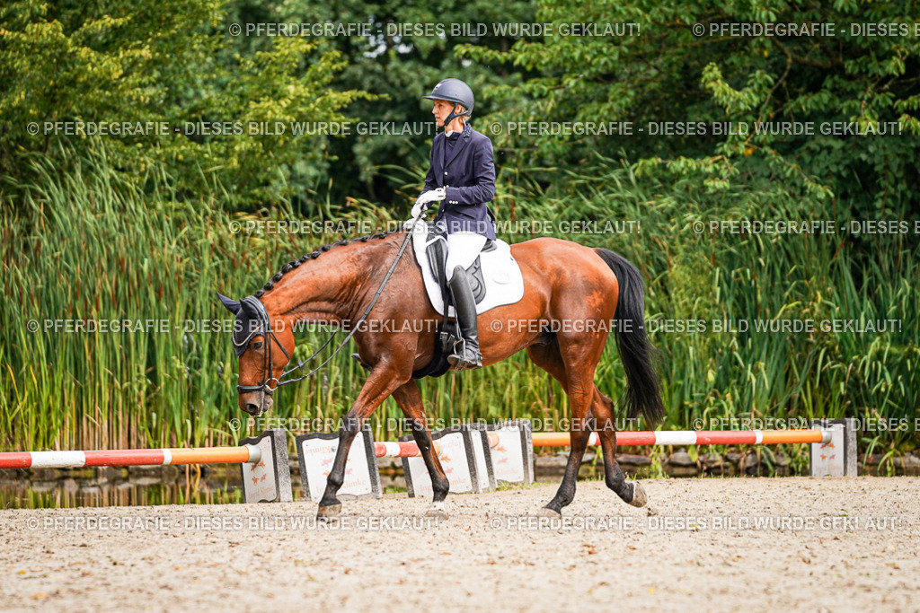 DSC01979 | Pferdegrafie