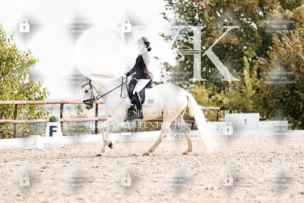 CK901274 | Turnierfotografie Pferdefotografie Trier Rheinland-Pfalz Pferdesport Reitsport Tierfotografie Sportfotografie Pferdevideo Pferdevideografie Equestrianvideography equestrianphotography  - Realisiert mit Pictrs.com
