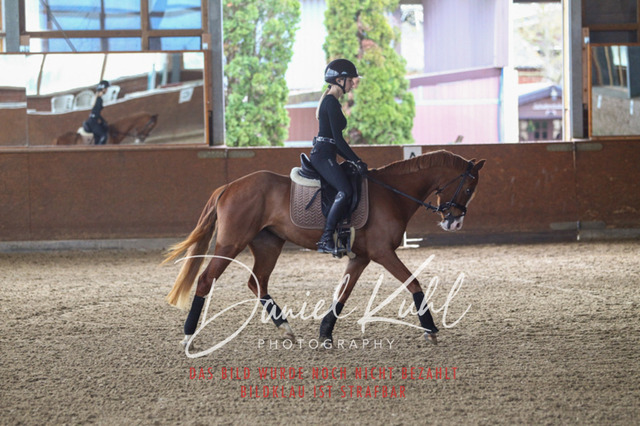 DKP42573 | Turniersportfotografie; Pferdefotografie; Dressurfotografie