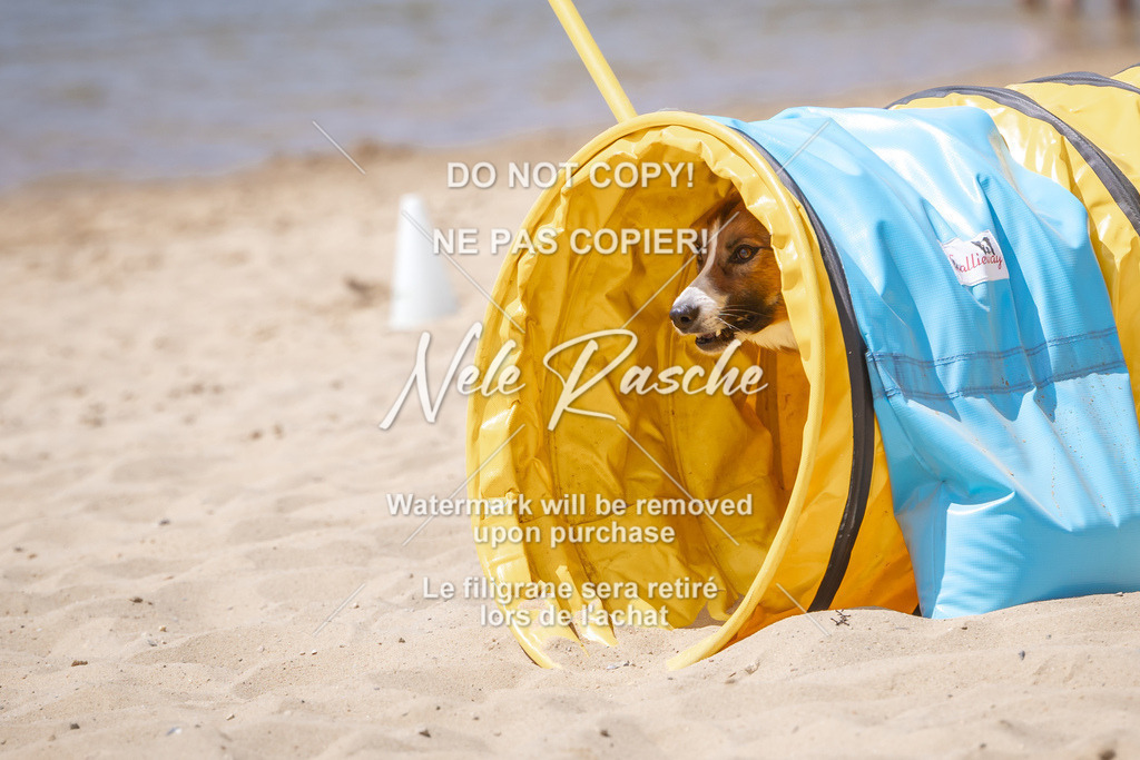 NR__2459 | nelerasche