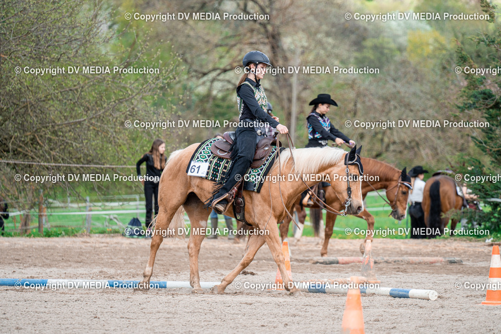 BAL02563 | dv-media-shop - Realisiert mit Pictrs.com