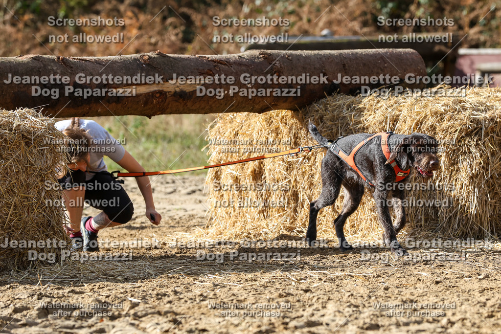 Dog Paparazzi - Strongdog 10-25-5506 | Dog Paparazzi Jeanette Grottendiek Fotografie & Videografie - Realisiert mit Pictrs.com