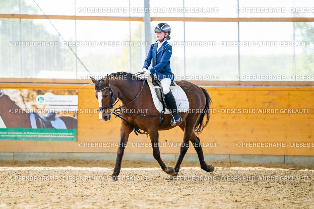 DSC00969 | Pferdegrafie