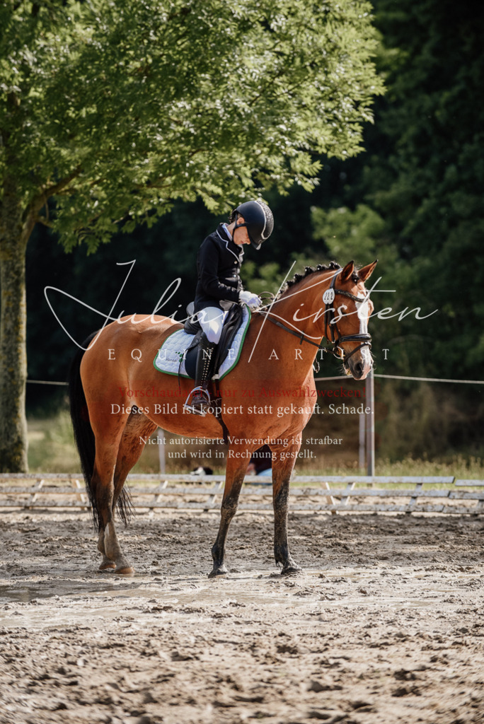 DSC_9192 | Pferde- und Turnierfotografie in Westsachsen. Pferdeportraits, Auftragszeichnungen und intuitive Kunst.