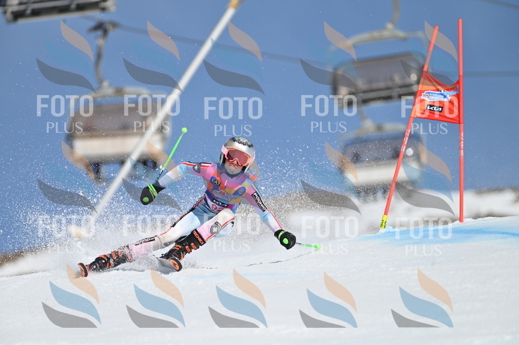 BGV_9287 | holidayphoto