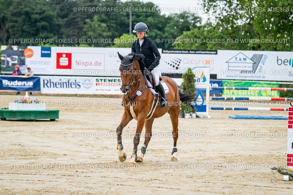 DSC04038 | Pferdegrafie