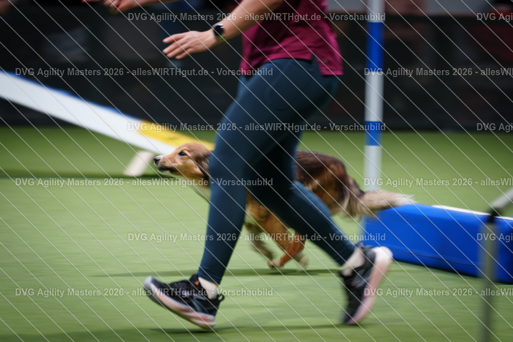 allesWIRTHgut_Tierfotografie-DVG_Agility_Masters_2026-14_19-7R504417 | Professionelle Tierfotografie in Mönchengladbach von Daniel Wirth (allesWIRTHgut). Liebevolle & natürliche Bilder von Hunden & Katzen für unvergessliche Erinnerungen.