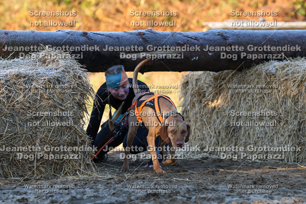 Dog Paparazzi - Strongdog 10-25-608 | Dog Paparazzi Jeanette Grottendiek Fotografie & Videografie - Realisiert mit Pictrs.com