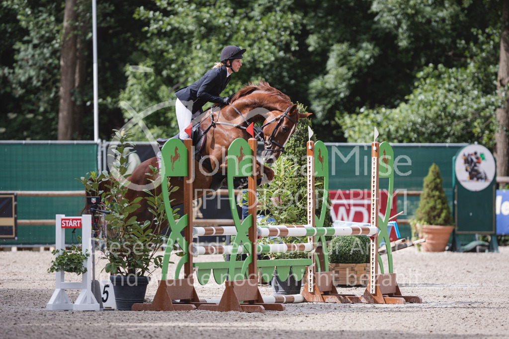 220614_Mühlen_SprPf-A-192 | Late Entry Mühlen
14.06.2022
Springpferde A**
4-6jährige Pferde