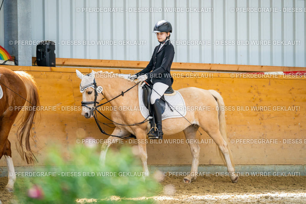 DSC08574 | Pferdegrafie