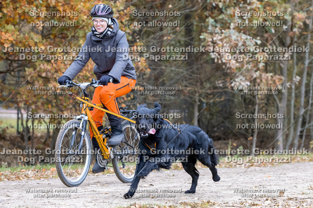 Dog Paparazzi - SD CaniX Championship 2025-587 | Dog Paparazzi Jeanette Grottendiek Fotografie & Videografie - Realisiert mit Pictrs.com