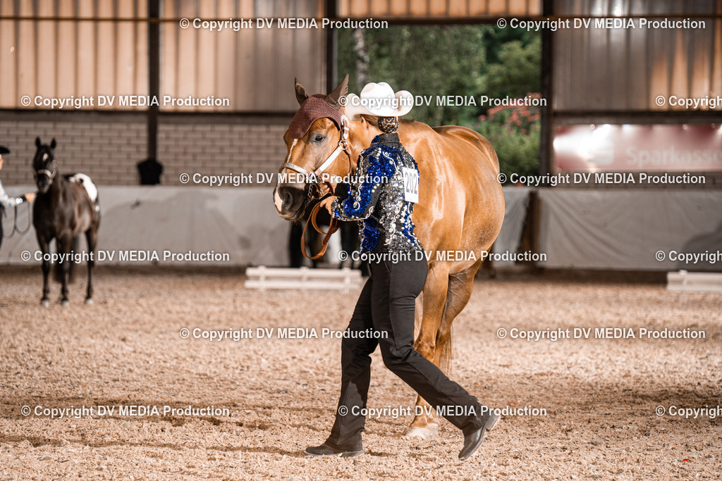 ZH200195 | dv-media-shop - Realisiert mit Pictrs.com