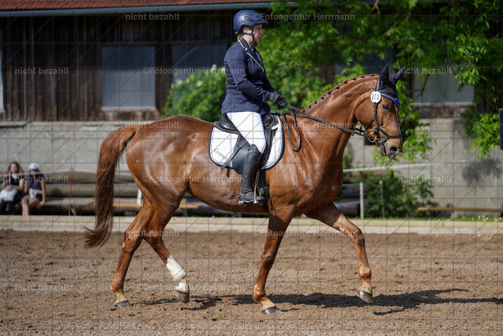 20240519-FAH04662 | Turnierbilder Niederseeon 2024, Vielseitigkeitsdressur, Reitsportbilder aus dem Landkreit Ebersberg, Gut Steinsee, RC Steinsee, Fotoagentur Herrmann
