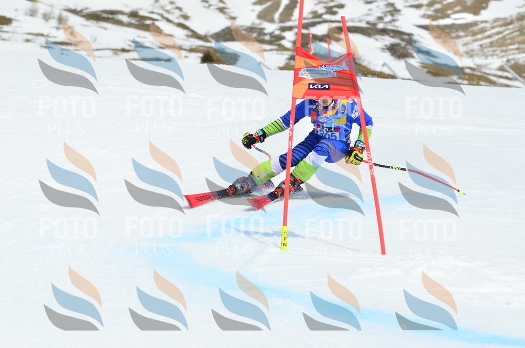 _ELE2258 | holidayphoto