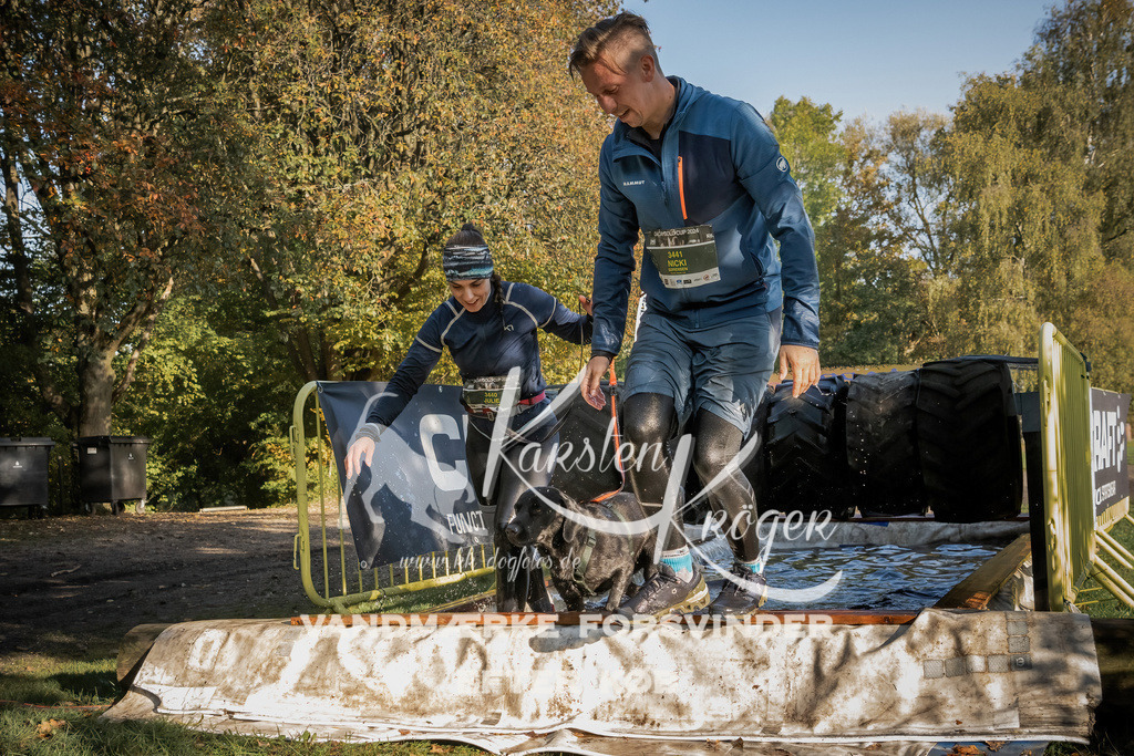 0952_ZZ92106 | kk-dogfotos