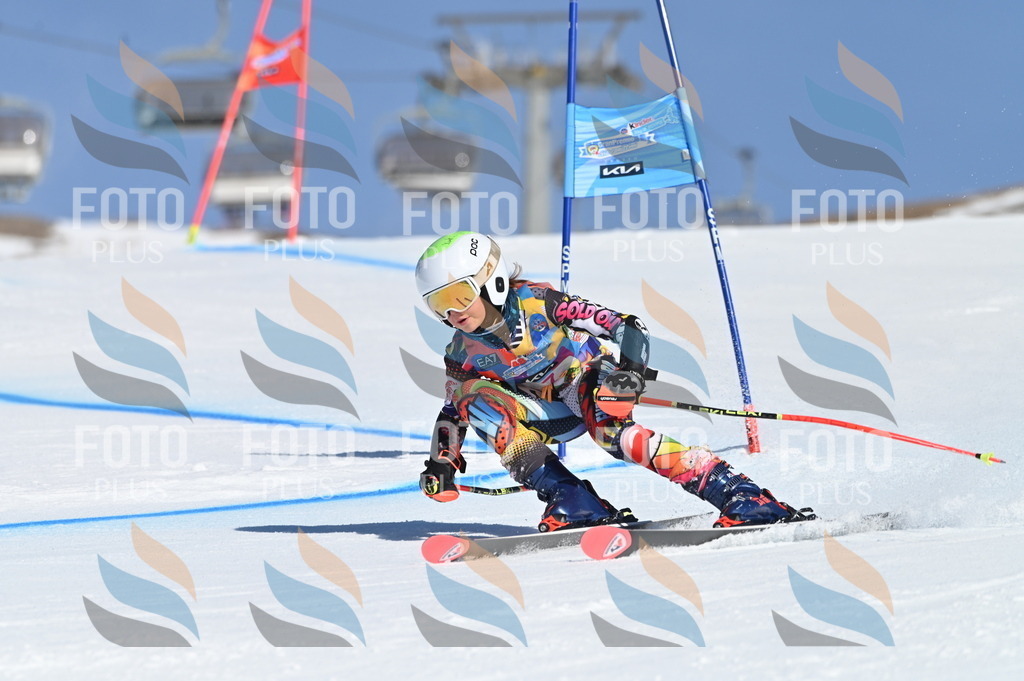 BGV_7692 | holidayphoto