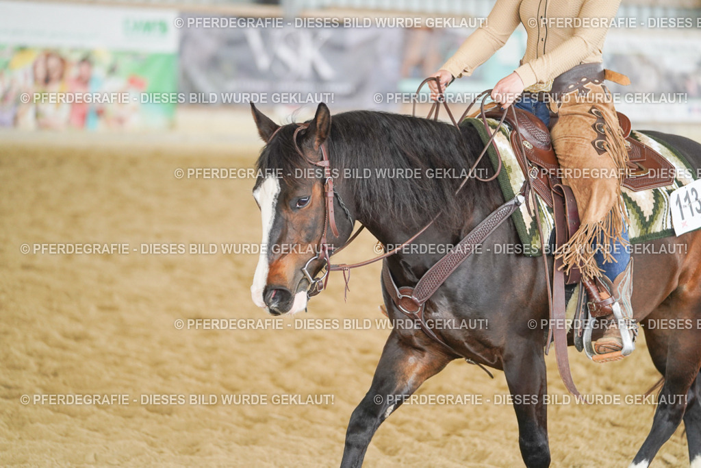 DSC05764 | Pferdegrafie