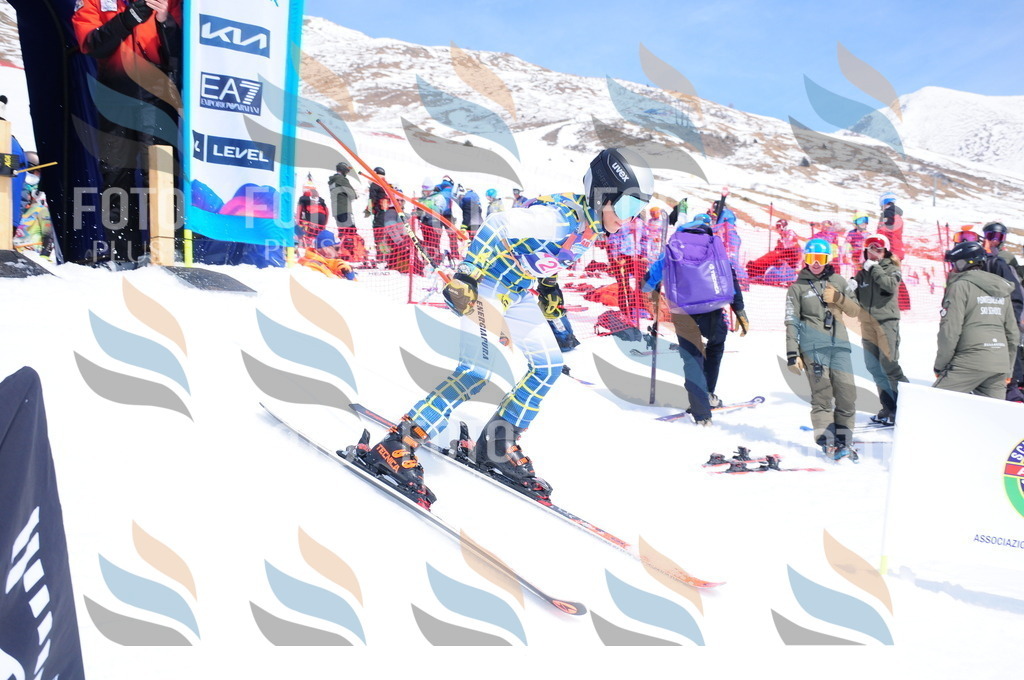 DSC_6417 | holidayphoto