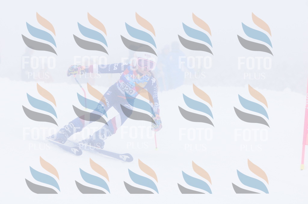 C3518 | holidayphoto