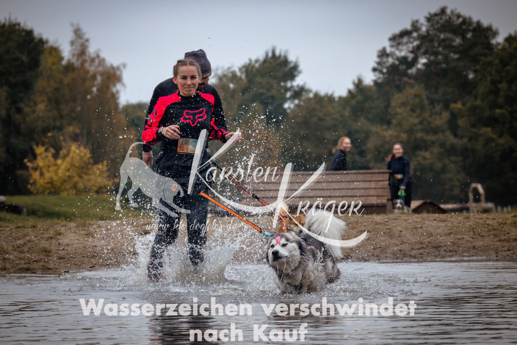 1225_ZZ99547 | kk-dogfotos