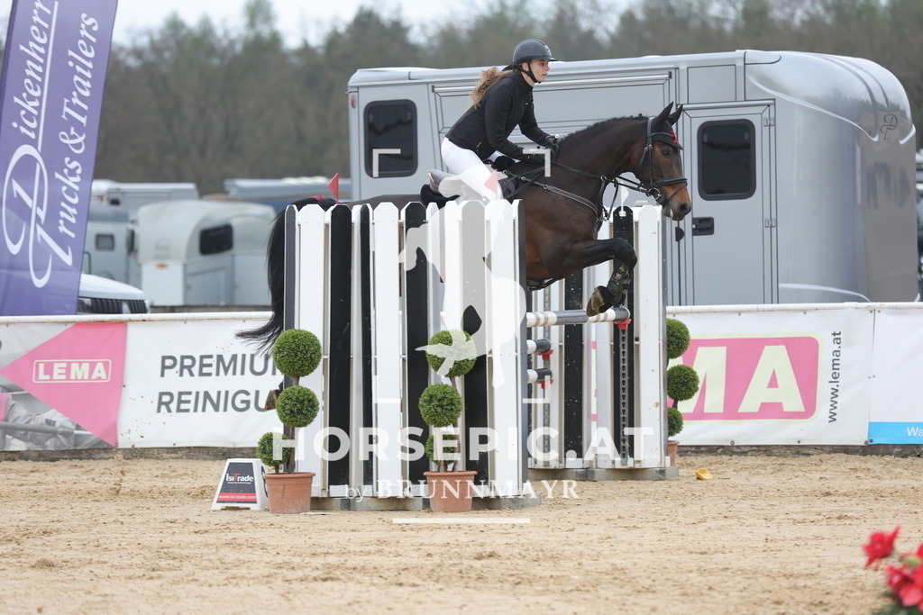 0P6A3486 | Willkommen bei Brunnmayr - Design & Fotografie – Ihrem Spezialisten für Reitturniere und Pferdeveranstaltungen in Oberösterreich, Salzburg und Bayern! Seit über 17 Jahren sind wir leidenschaftlich dabei.