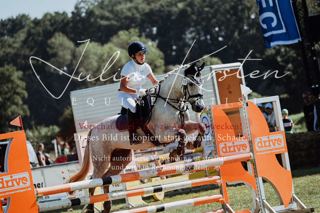 DSC_6115 | Pferde- und Turnierfotografie in Westsachsen. Pferdeportraits, Auftragszeichnungen und intuitive Kunst.