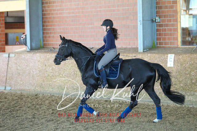 DKP42346 | Turniersportfotografie; Pferdefotografie; Dressurfotografie