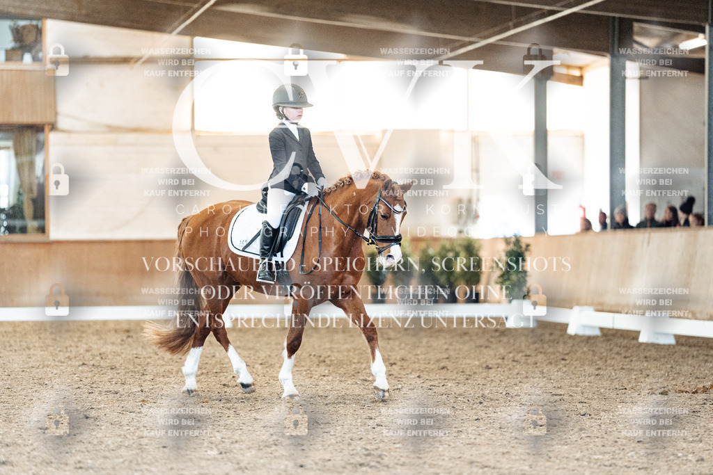 CK908155 | Turnierfotografie Pferdefotografie Trier Rheinland-Pfalz Pferdesport Reitsport Tierfotografie Sportfotografie Pferdevideo Pferdevideografie Equestrianvideography equestrianphotography  - Realisiert mit Pictrs.com