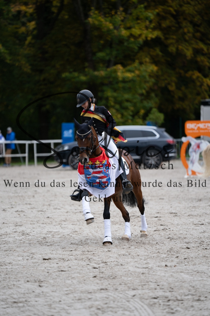 A7V01266 | Turnier/Reitfotograf