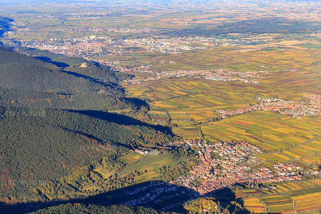 Luftbild: Winzerorte am Haardtrand aus Südwesten Blick bis Neustadt im Ortsteil SaintMartin in Sankt Martin im Bundesland Rheinland-Pfalz in Deutschland. Foto: IMG_104057.jpg vom 14.10.2017 durch Werner Riehm/FLY-FOTO.de