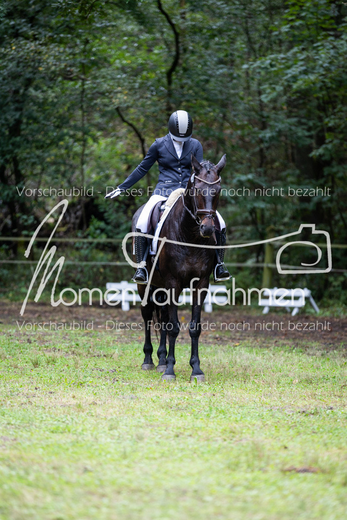 HB-A-Dressur-109 | MomenTaufnahmen Pferdesportfotos