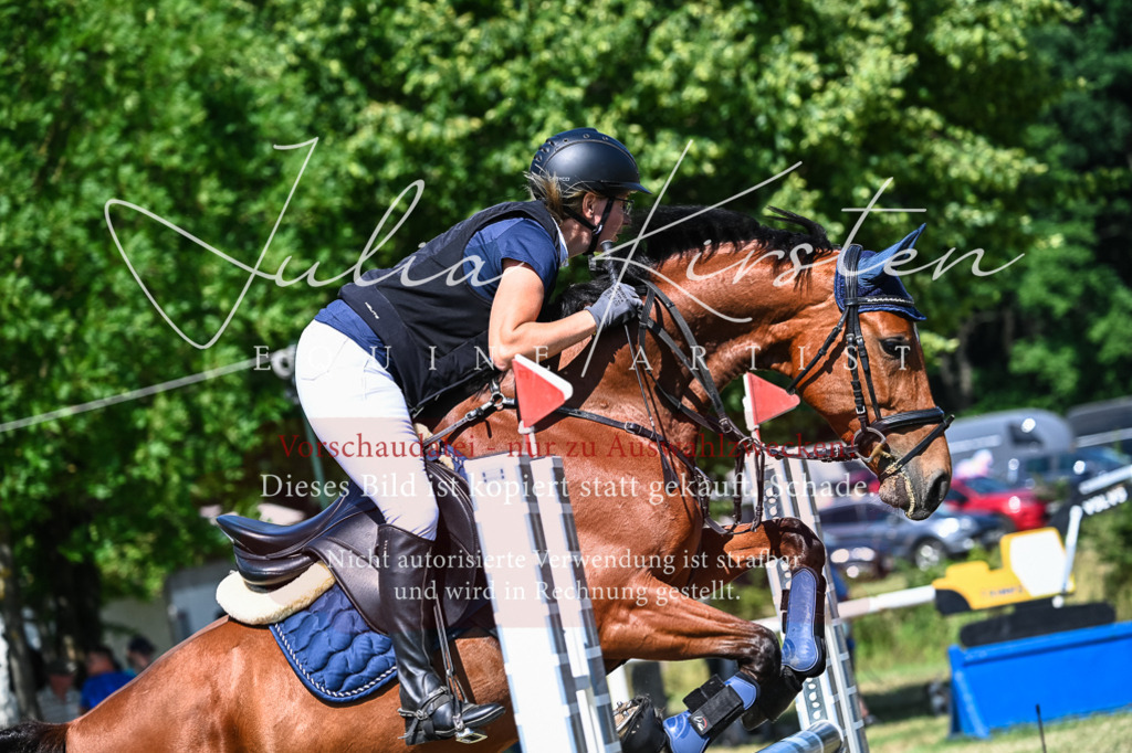 DSC_1425 | Pferde- und Turnierfotografie in Westsachsen. Pferdeportraits, Auftragszeichnungen und intuitive Kunst.
