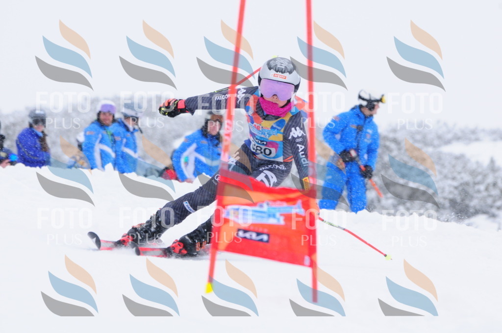 C4044 | holidayphoto