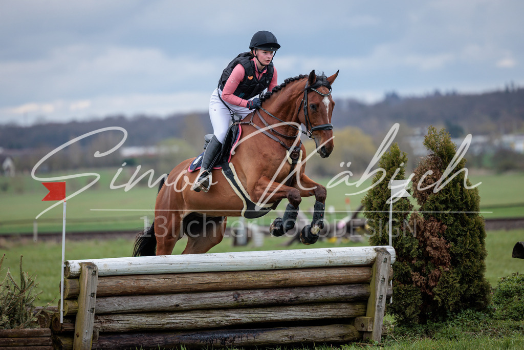 20260329-_3LI5694 | Tierfotografie Pferde, Hunde, Katzen, Haustiere.
Turnierfotografie Reitturniere, Reiten, Springreiten, Dressur in Hanau, dem Main-Kinzig-Kreis und dem Rhein-Main- Gebiet um Frankfurt