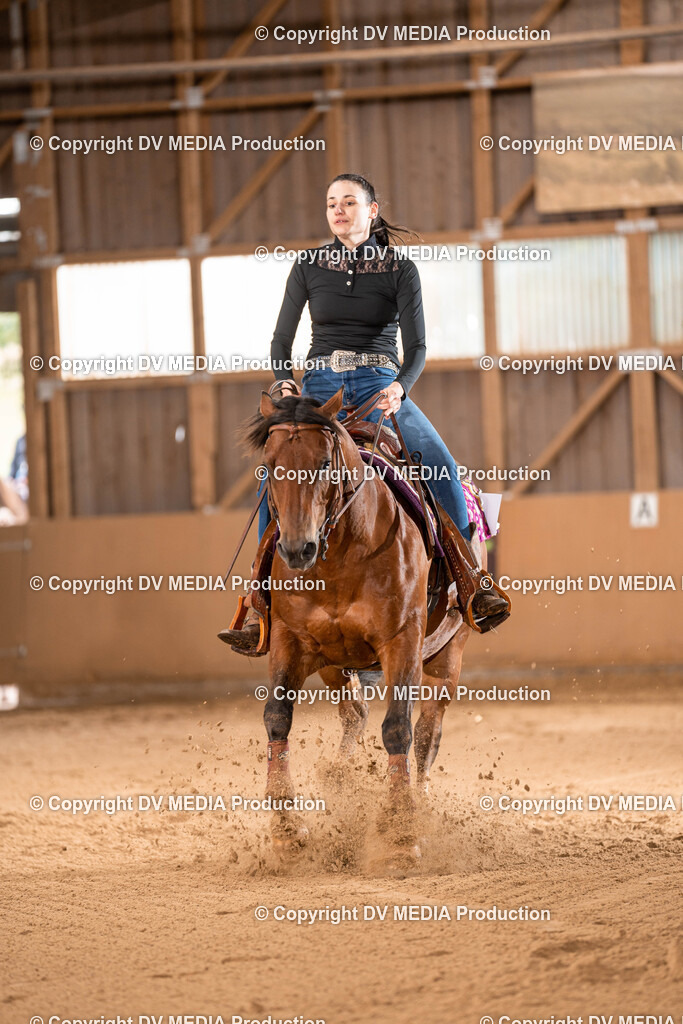 Losheim Tag 1-696 | dv-media-shop - Realisiert mit Pictrs.com