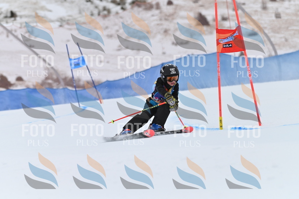 BGV_0165 | holidayphoto