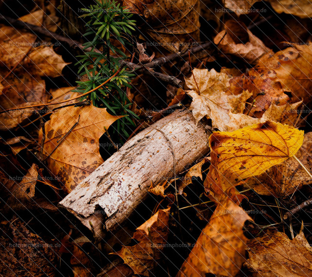 IMG_8732 | Fotograf Leipzig für Hochzeiten, Familienfeste & Porträts. Persönlich, ehrlich & echt – Emotion im Fokus. Jetzt Fotoshooting bei Holzmannphotos buchen!