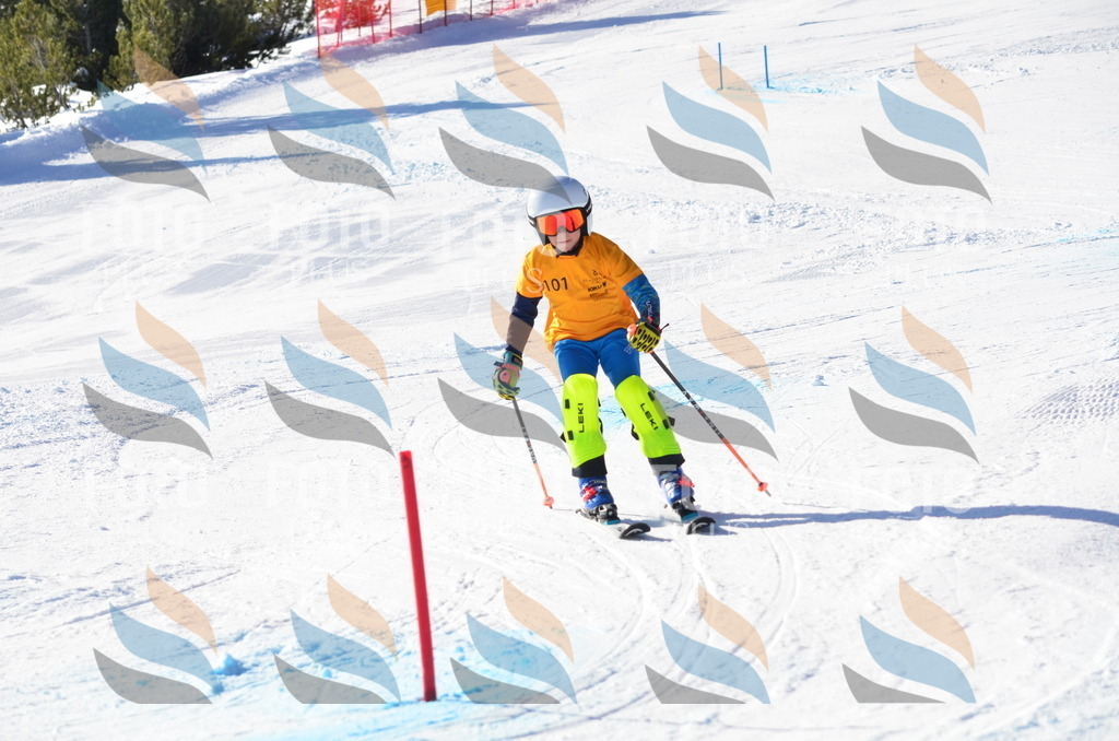 C6192 | holidayphoto