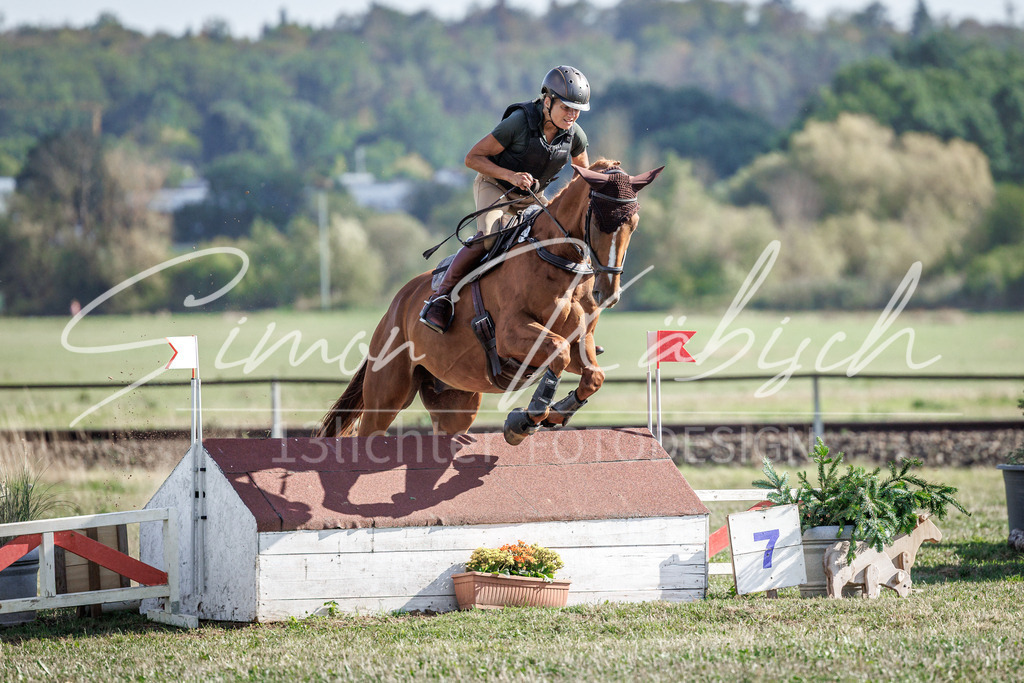 20260905-_3LI0138 | Tierfotografie Pferde, Hunde, Katzen, Haustiere.
Turnierfotografie Reitturniere, Reiten, Springreiten, Dressur in Hanau, dem Main-Kinzig-Kreis und dem Rhein-Main- Gebiet um Frankfurt