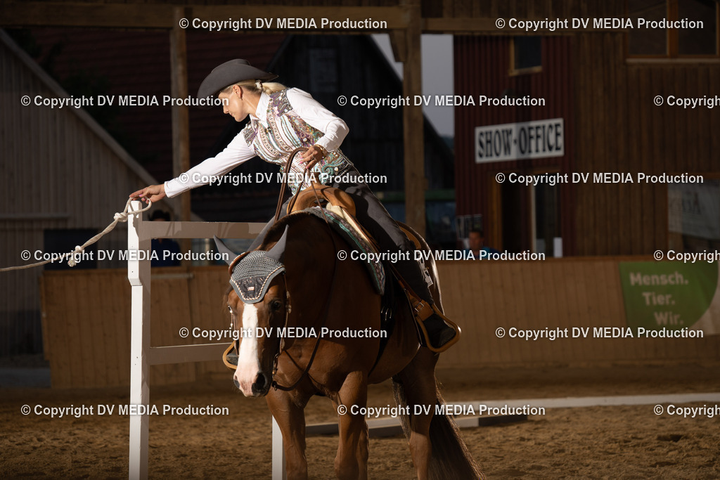 NE101433 | dv-media-shop - Realisiert mit Pictrs.com